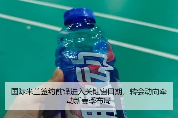 国际米兰签约前锋进入关键窗口期，转会动向牵动新赛季布局